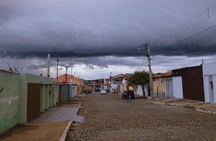 O cacau vai cair na Terra do Divino