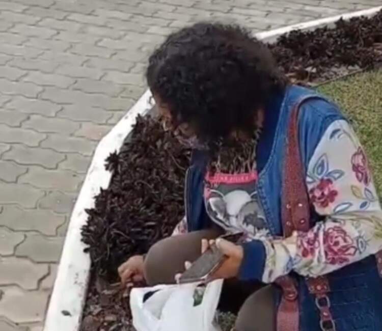 Guarda municipal de Poções humilha senhora por causa de uma muda de planta. Assista!