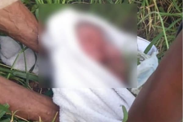 Recém-nascido é encontrado em matagal na cidade de Milagres e mãe é presa