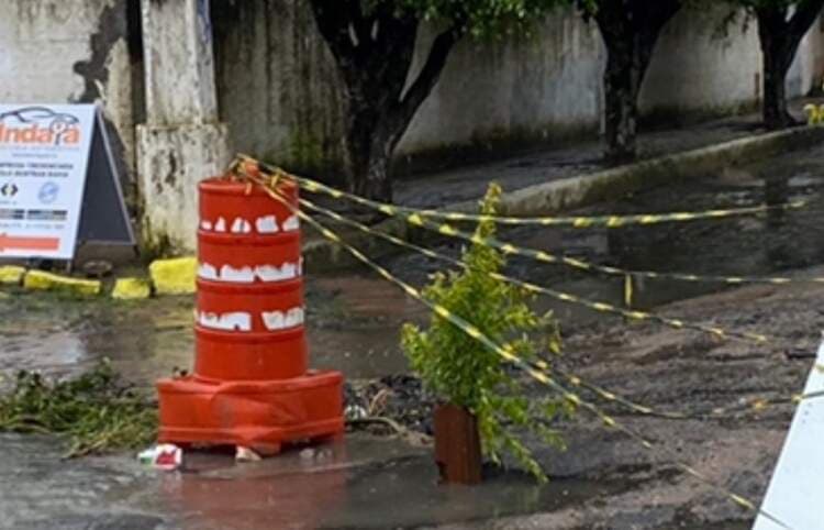 Buraco na Avenida Cônego PIthon ganha árvore de Natal improvisada e pedido de solução ao Papai Noel