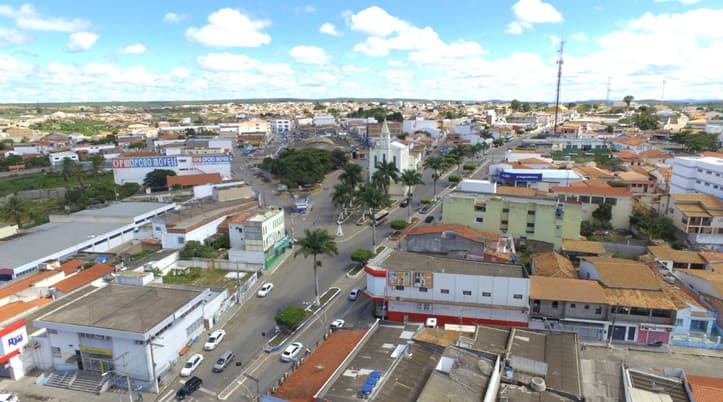 MP denuncia homem que atirou em cadela na cidade de Poções