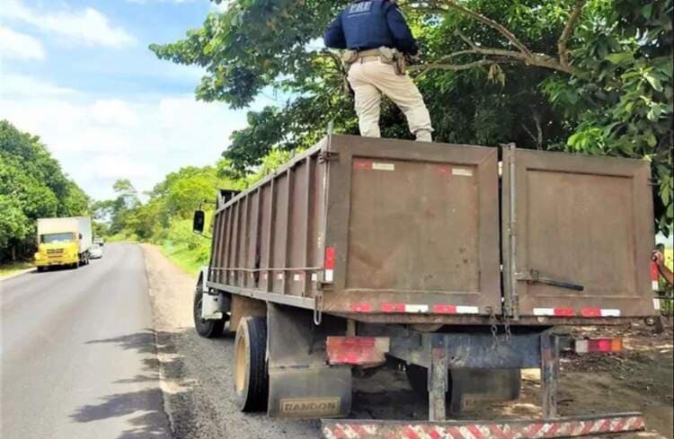 Jequié: PRF apreende carga de madeira transportada ilegalmente
