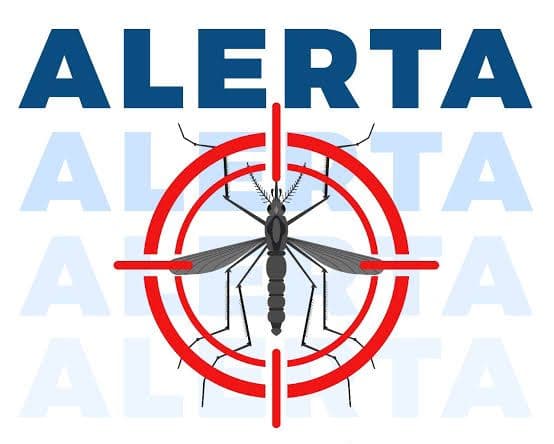 Alerta em Poções: 13 casos de dengue são confirmados no município.