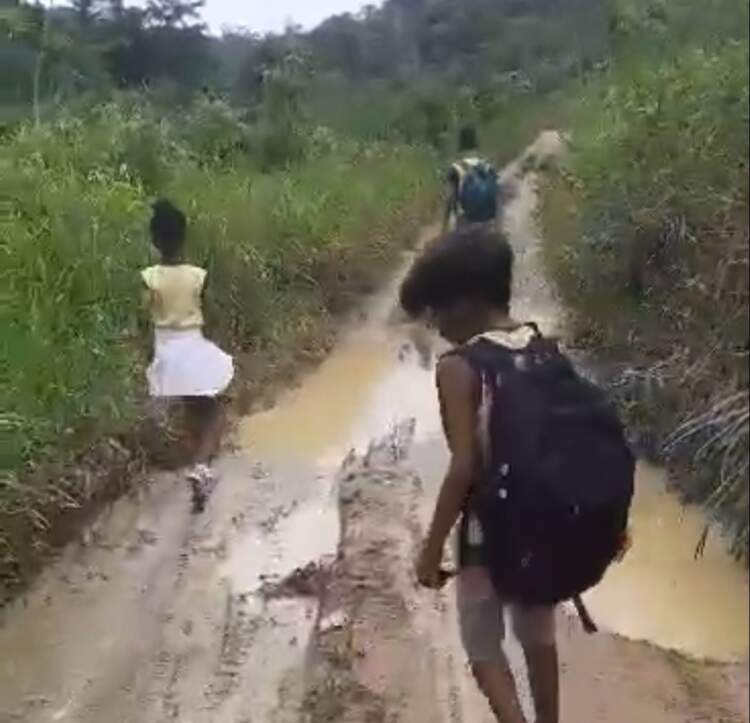 Giro pela Bahia: Estudantes de Ibirapintanga enfrentam desafios sem transporte e estrada para acessar a escola