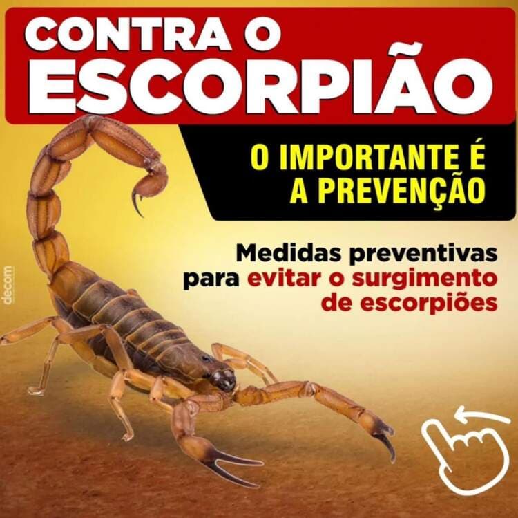 Secretaria de Saúde Alerta: Medidas Preventivas Contra Escorpiões em Poções.