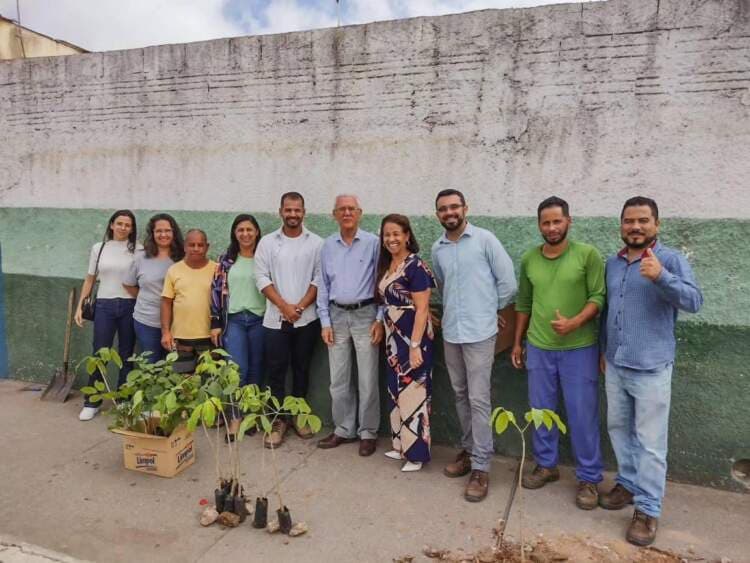 Prefeitura de Poções promoveu substituição de árvores na Avenida Cônego Pithon