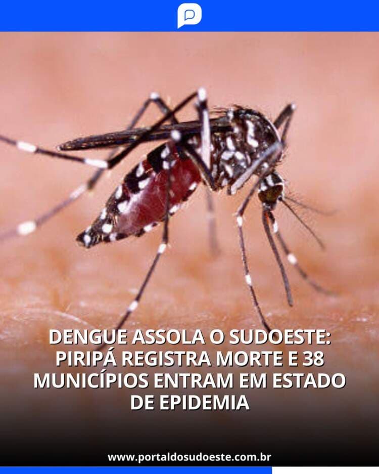 Dengue assola o Sudoeste da Bahia: Piripá registra nova morte e 38 municípios entram em estado de epidemia