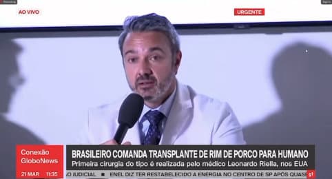 Médico brasileiro comanda o 1º transplante de rim de porco para um humano, nos EUA