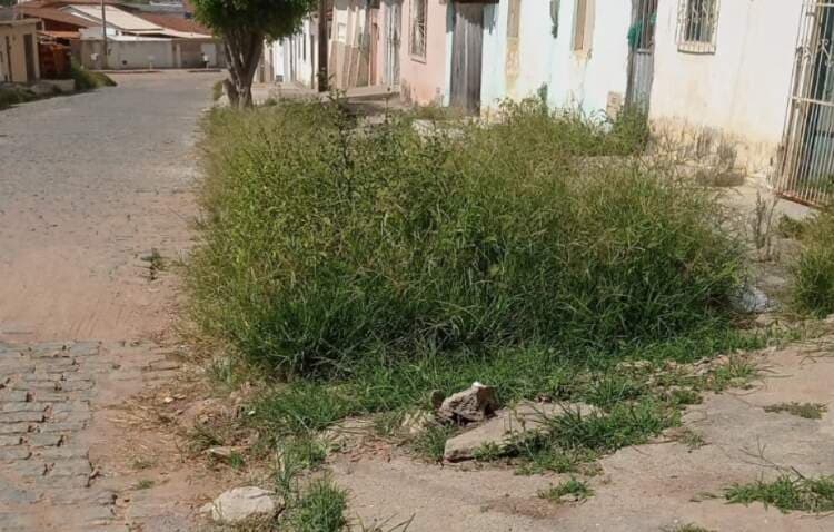 Moradores de Poções cobram limpeza das vias públicas