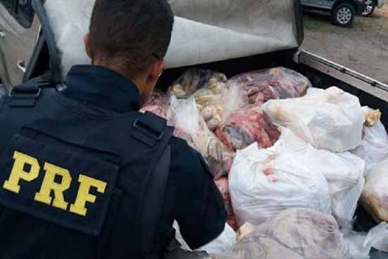 Sudoeste: Carga de 700 kg de carne transportada de forma irregular e sem refrigeração é apreendida em Jequié
