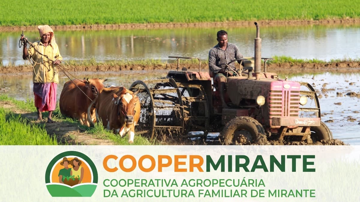Assembleia Geral da COOPERMIRANTE reúne associados para prestação de contas e novidades na gestão em Mirante